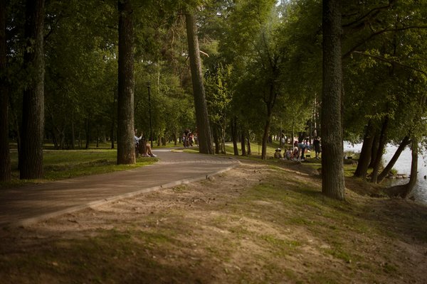 Ressourcez-vous avec un séjour jeune detox au cœur de la nature