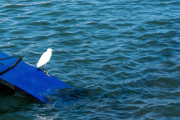 L'escalade pour sculpter son corps en douceur